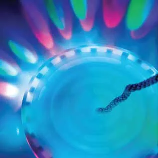 Flashing Lights Swing