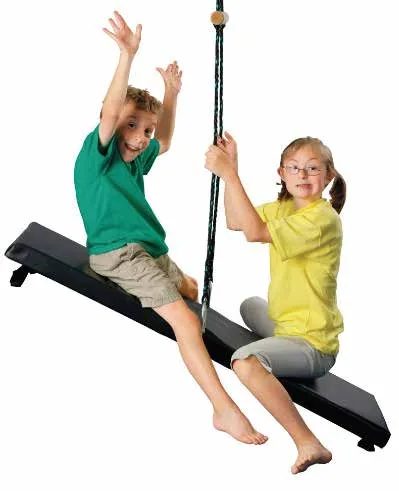 TheraGym Seesaw Glider & Swing